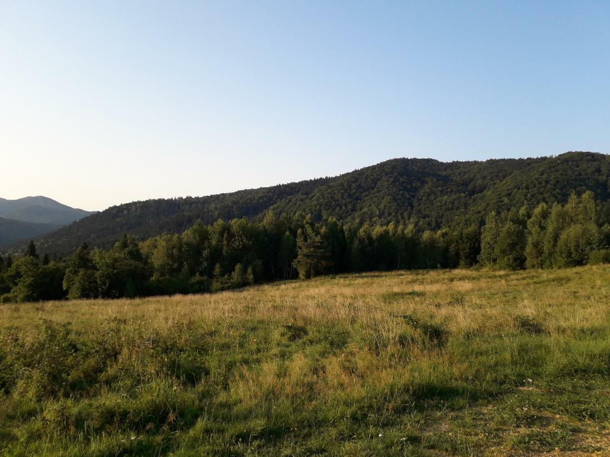 Lesne Berdo Przyslup Bed and Breakfast Cisna Exteriör bild